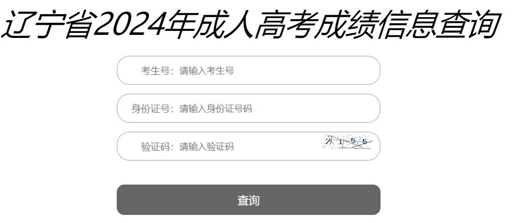 辽宁省2024年成人高考成绩查询入口已开通