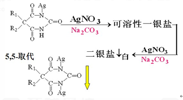 丙二酰脲类的鉴别反应与重金属离子反应   收载于《中国药典》的附录