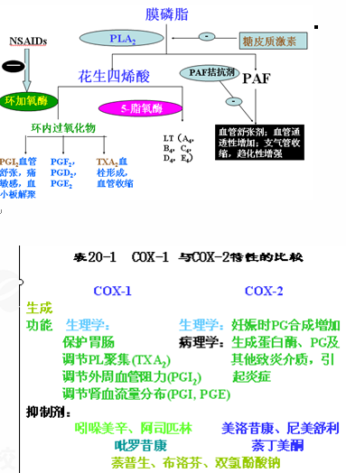 2010执业药师考试药学专业知识(一)复习要点(43)