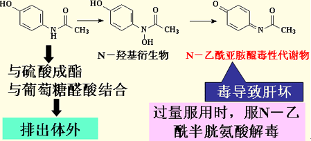 酚羟基   酚羟基显酸性,与三氯化铁显紫色   水解产物对氨基酚,显芳伯