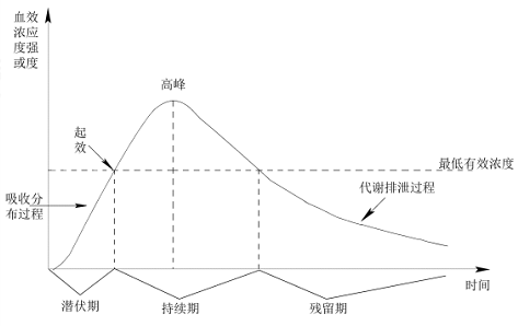 (二)消除半衰期