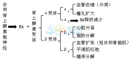 2016年执业药师《药学知识二》核心知识点总