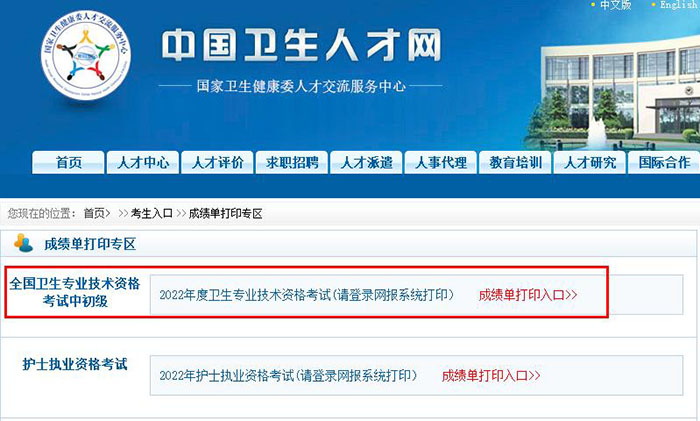 2022年北京初级护师考试成绩单打印入口