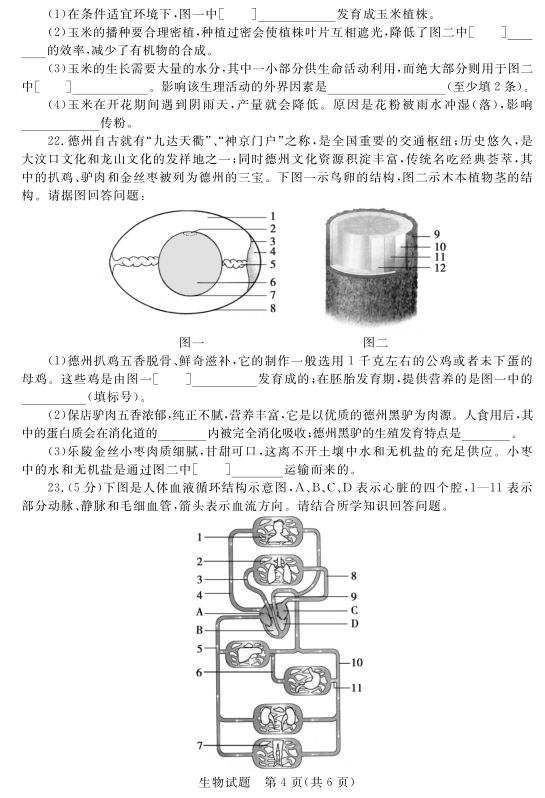 考试吧：2017山东德州中考《生物》试题及答案