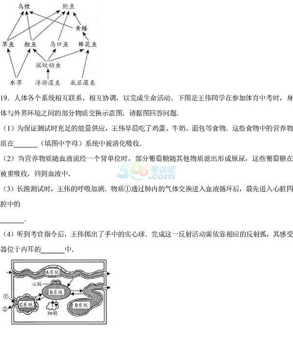 考试吧：2017年河北省《生物》试题及答案