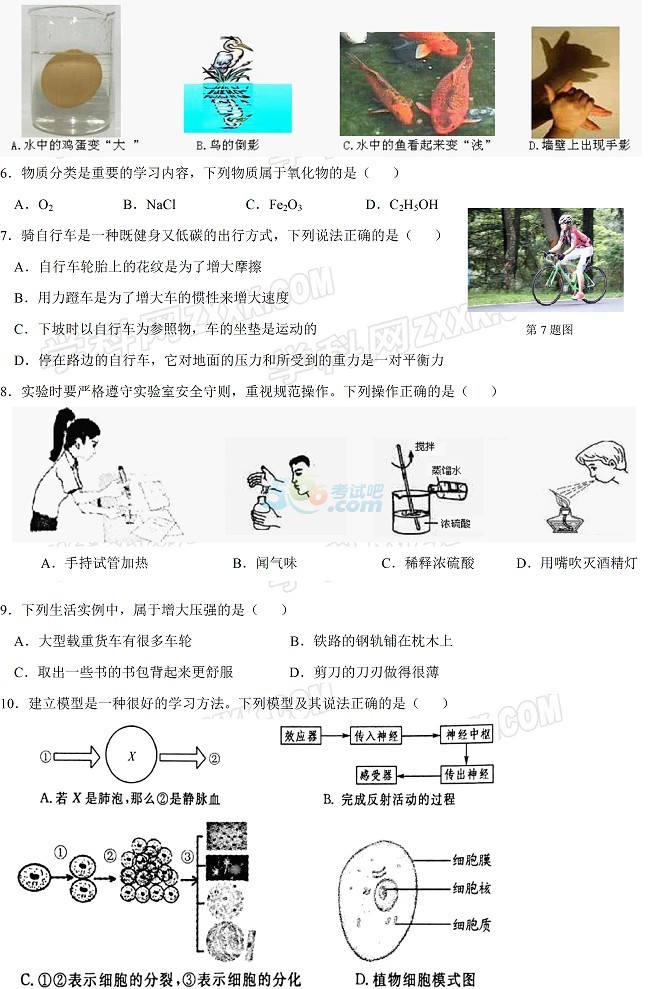 考试吧：2017年浙江衢州中考《科学》试题及答案