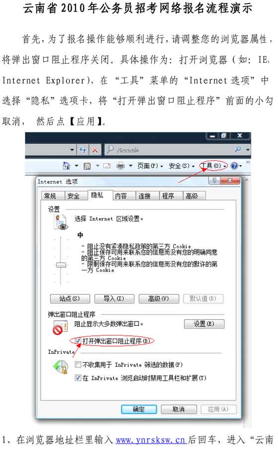 2010年度云南公务员考试网上报名流程演示