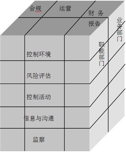 2010年注会《公司战略与风险管理》内部控制