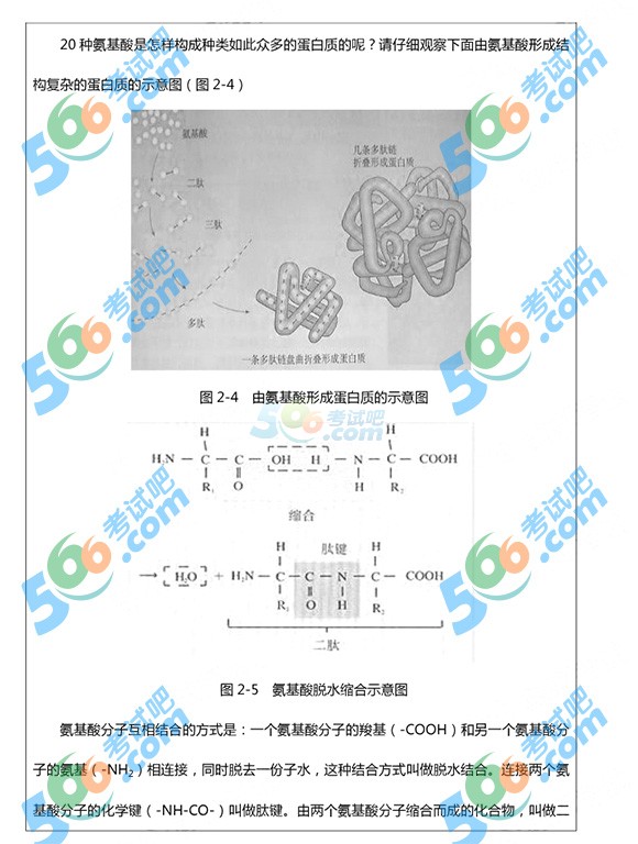 2015ϰʦʸ񡶸⼰