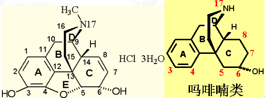 哌替啶的化学结构图图片